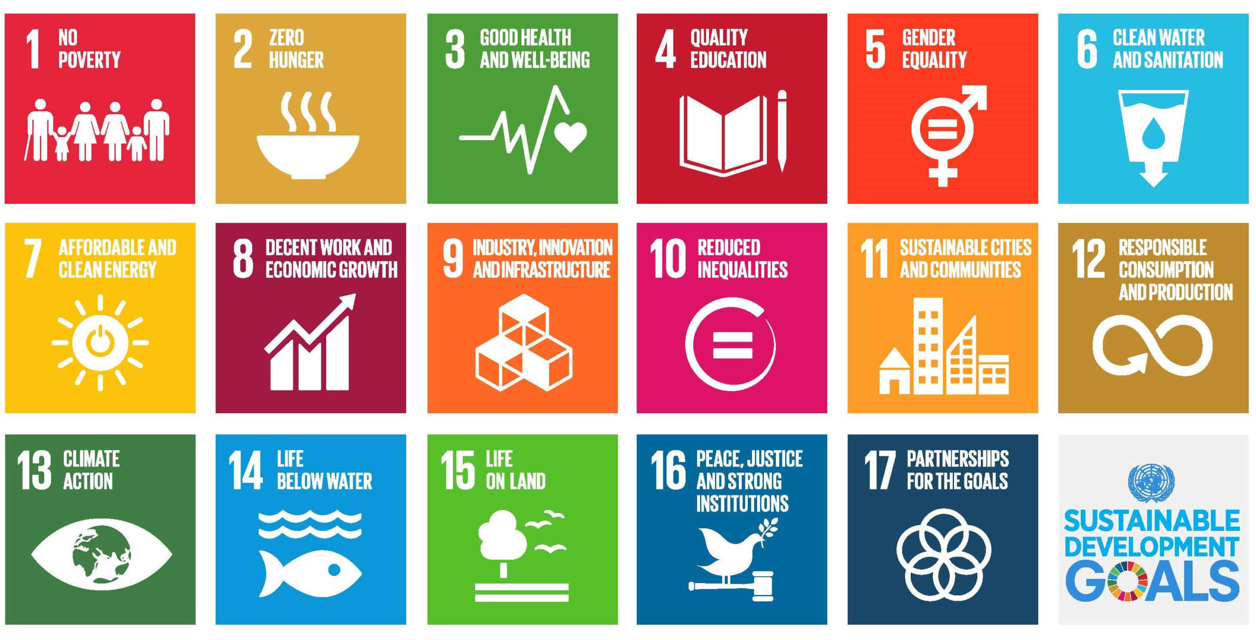 Implementing SDG 8 In Nigeria: What Role Should The Sustainability Profession Play?