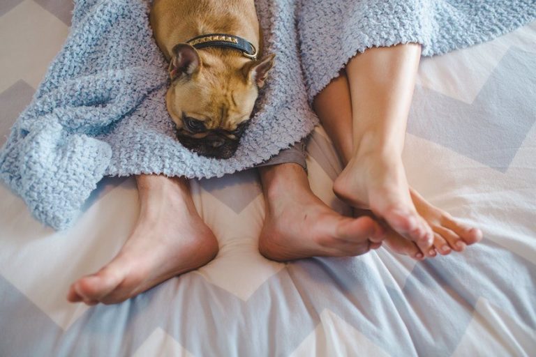 How A Dog Made Me Cum 4 Times In A Row In 30 Minutes