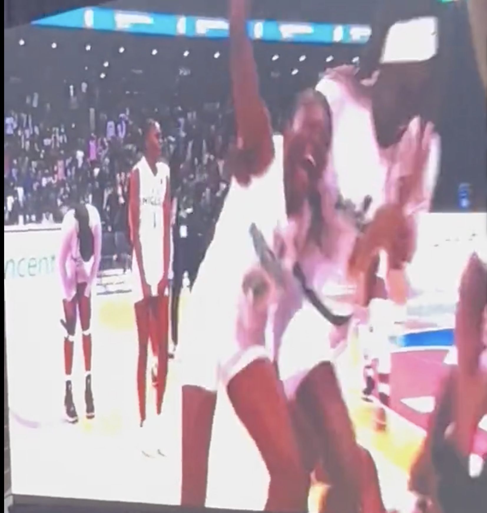 D'Tigress
