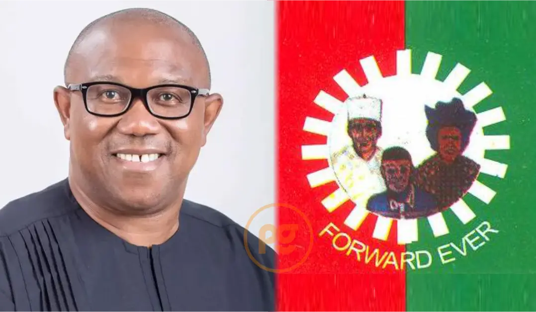 Peter Obi Reveal Date To File Appeal At Supreme Court