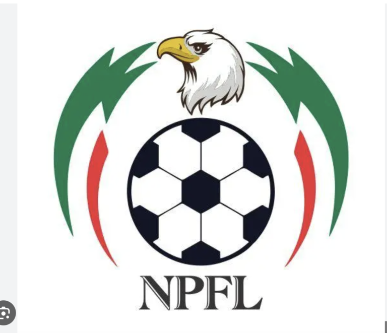 2023/2024 NPFL Match Day 9 Results