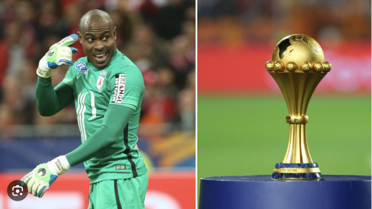 Vincent Enyeama