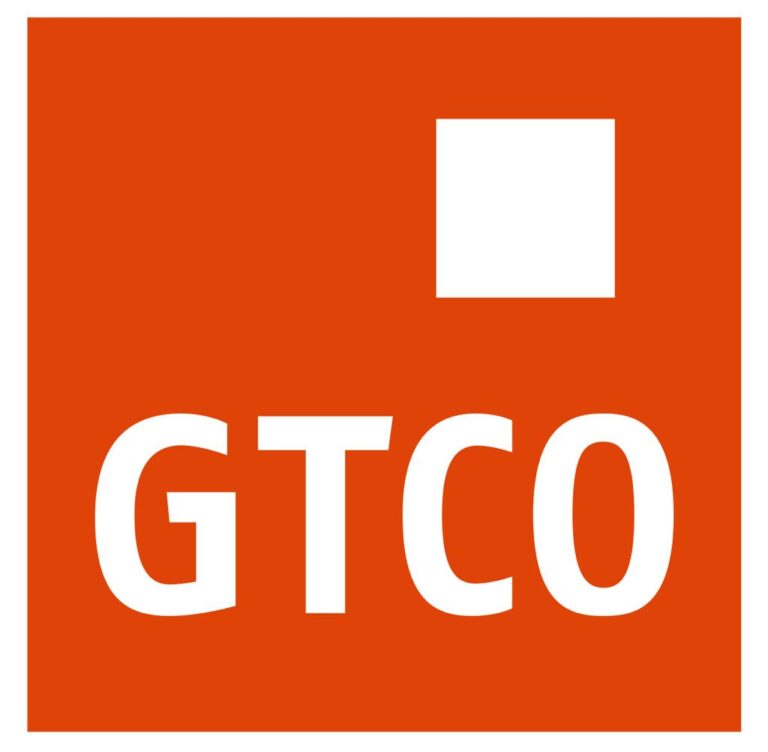 GTCO Plc Headlines Sponsorship Of The 2024 NPA Lagos International Polo Tournament