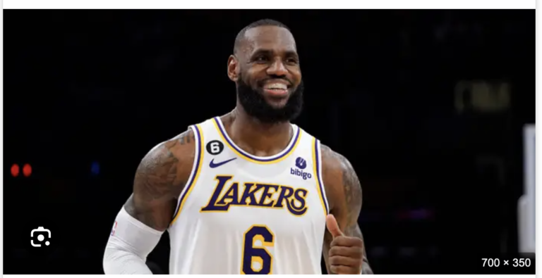LeBron James Retires
