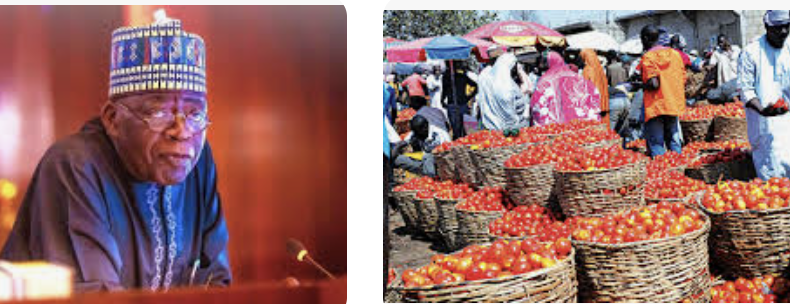 BREAKING: FG Suspends Taxes On Importation Of Food Commodities For 180 Days To Overcome High Food Prices