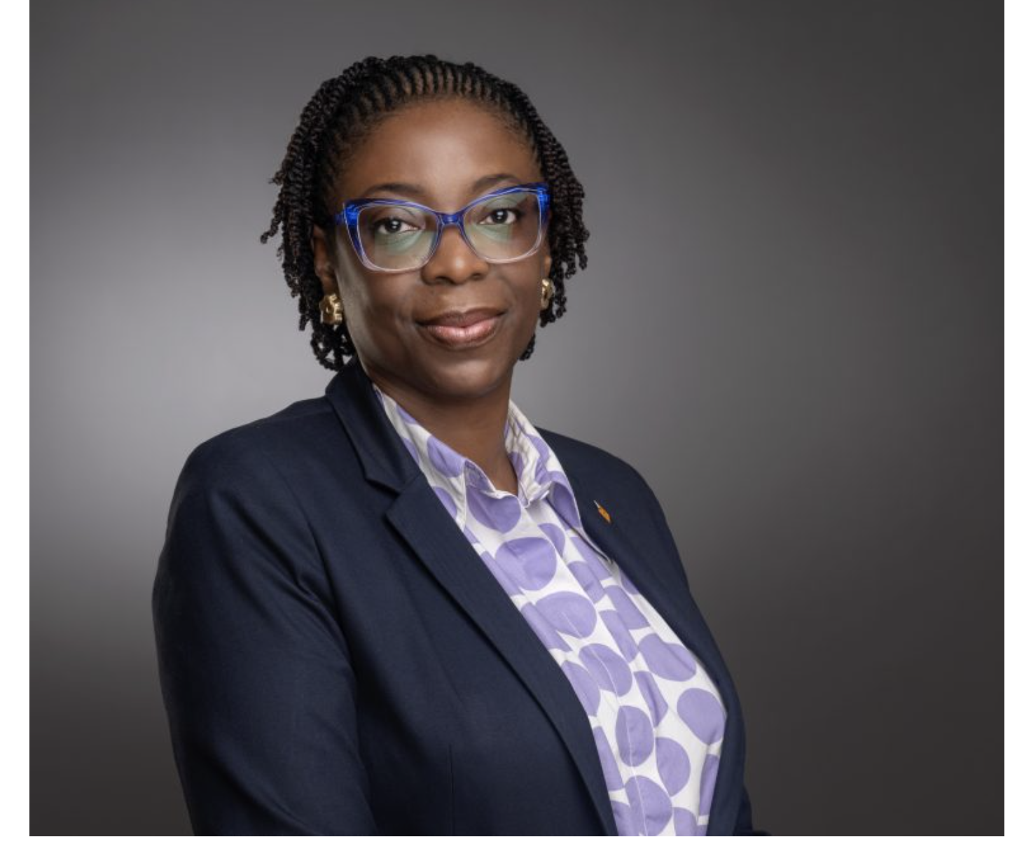 Access Holdings’ N351 Billion Rights Issue Opens for Subscription