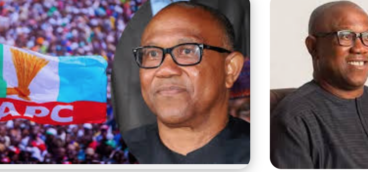 Peter Obi Declared Nigeria’s Leading Prophet Of Doom