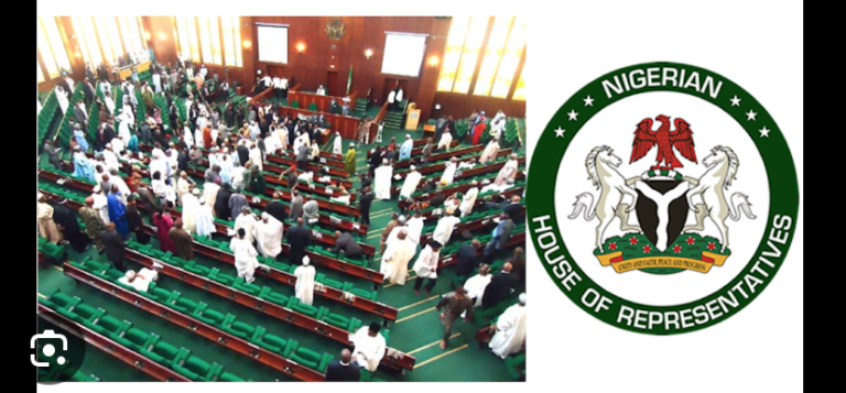 House Of Reps Ready To Pass 2025 Budget