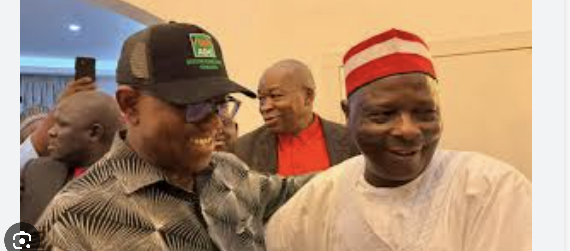 BREAKING: ADC Server On Maintenance As Supporters Of Peter Obi And Kwankwaso Struggle With De-registration Process