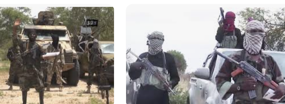 BREAKING: Boko Haram Terrorists Agree to Release 50 Women and Children from 416 Abducted in Borno State