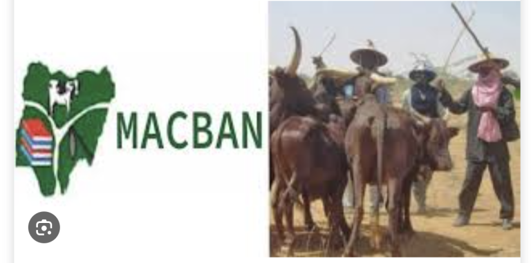 Gunmen Kill Miyetti Allah Chairman After Peace Meeting